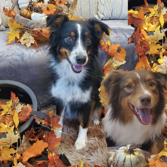 Just pics - Picture 14 of 15